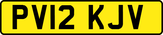 PV12KJV