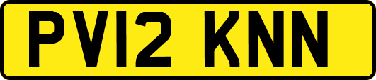 PV12KNN