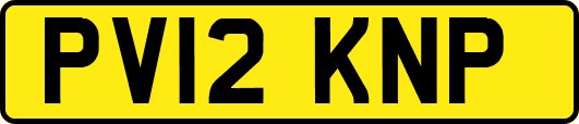 PV12KNP