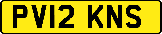 PV12KNS