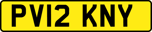 PV12KNY