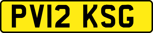 PV12KSG