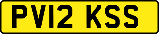 PV12KSS