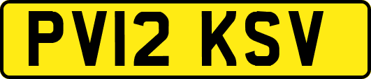 PV12KSV