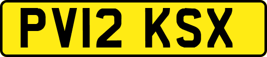 PV12KSX