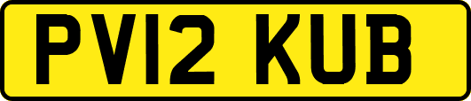 PV12KUB