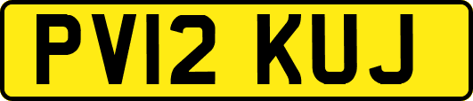 PV12KUJ