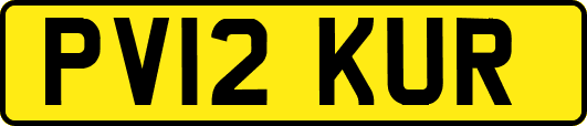 PV12KUR