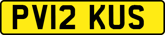 PV12KUS