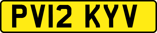 PV12KYV