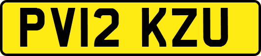 PV12KZU