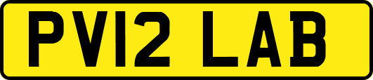 PV12LAB