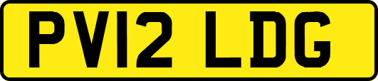 PV12LDG