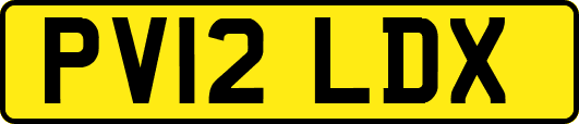 PV12LDX