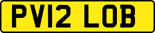 PV12LOB