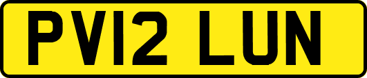 PV12LUN