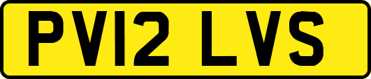 PV12LVS
