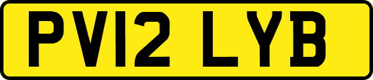 PV12LYB