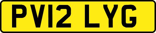 PV12LYG