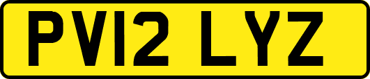 PV12LYZ