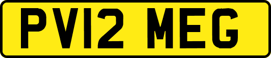 PV12MEG