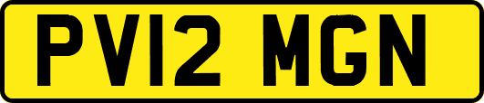 PV12MGN