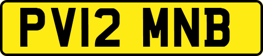 PV12MNB