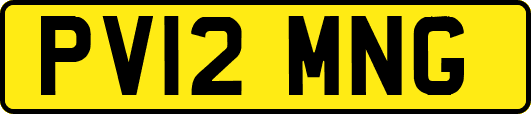 PV12MNG