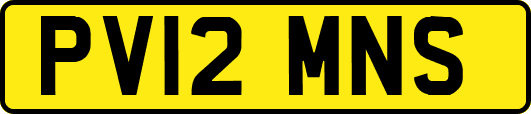 PV12MNS
