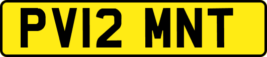 PV12MNT