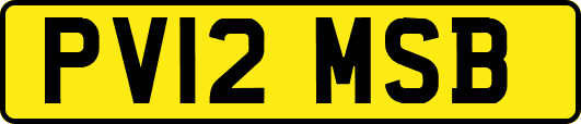 PV12MSB