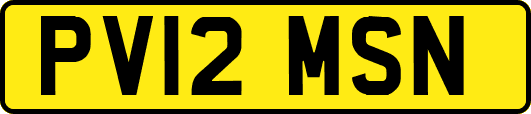 PV12MSN