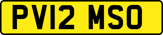 PV12MSO