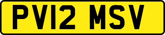 PV12MSV