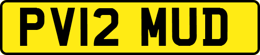 PV12MUD
