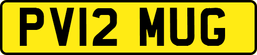 PV12MUG