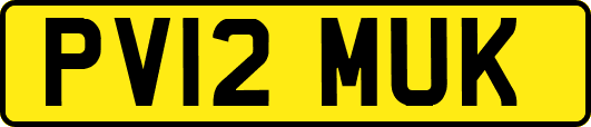 PV12MUK
