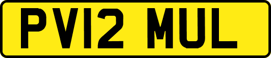 PV12MUL