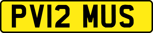 PV12MUS