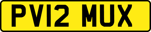 PV12MUX