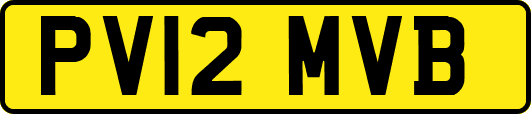 PV12MVB