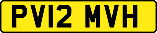 PV12MVH