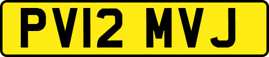PV12MVJ