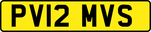 PV12MVS