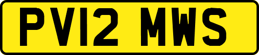 PV12MWS