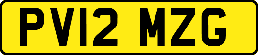 PV12MZG
