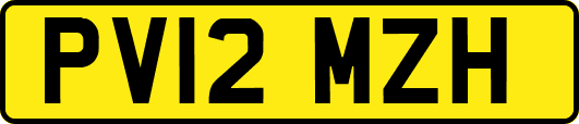 PV12MZH