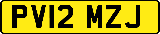 PV12MZJ