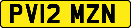 PV12MZN