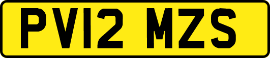 PV12MZS